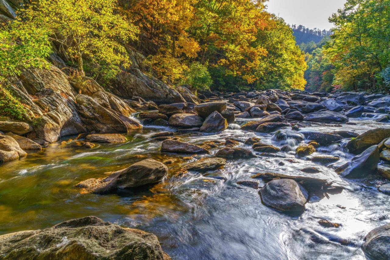 Celebration Lodge Gatlinburg Dış mekan fotoğraf