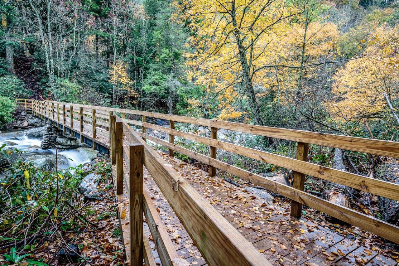 Celebration Lodge Gatlinburg Dış mekan fotoğraf